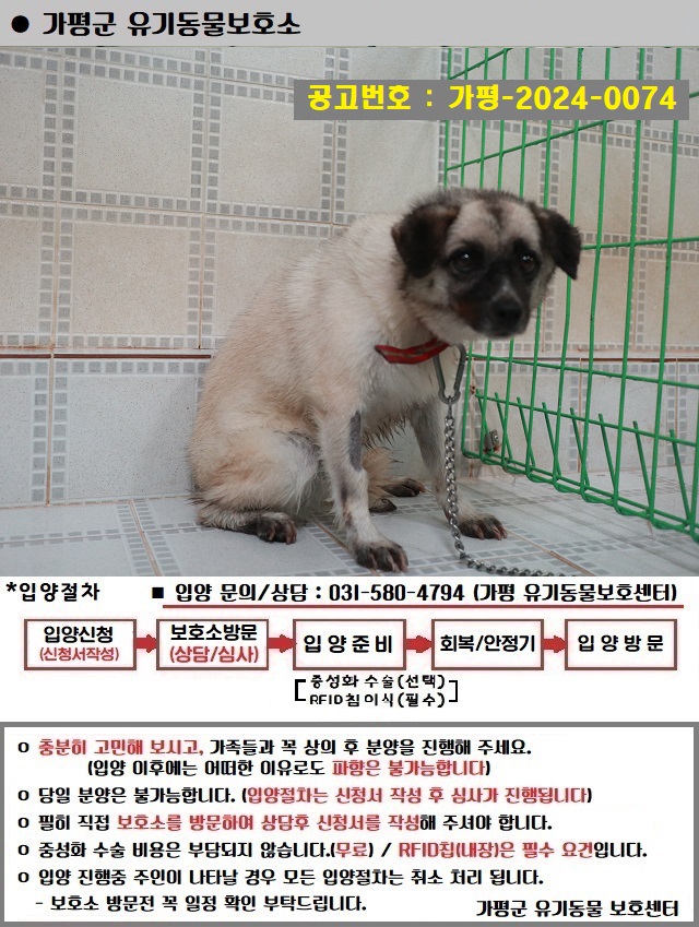 믹스견 이미지 파일 입니다.